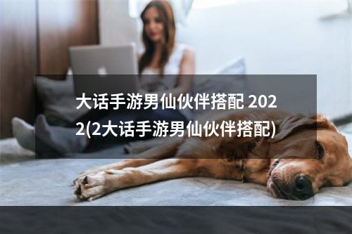 大话手游男仙伙伴搭配 2022(2大话手游男仙伙伴搭配)