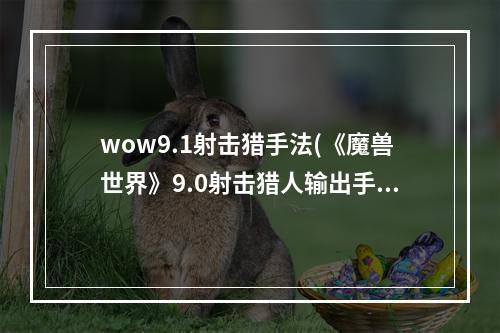 wow9.1射击猎手法(《魔兽世界》9.0射击猎人输出手法是什么 9.0射击猎人)