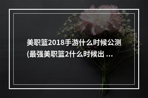 美职篮2018手游什么时候公测(最强美职篮2什么时候出 公测上线时间预告 最强美职篮2)