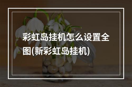 彩虹岛挂机怎么设置全图(新彩虹岛挂机)