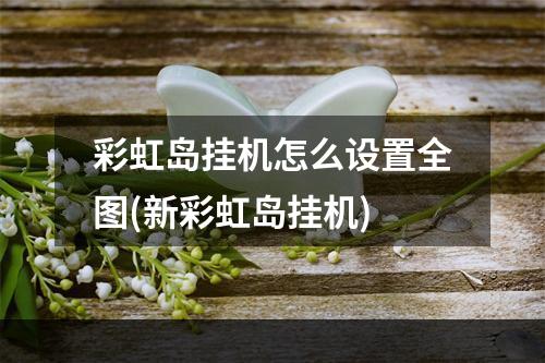 彩虹岛挂机怎么设置全图(新彩虹岛挂机)