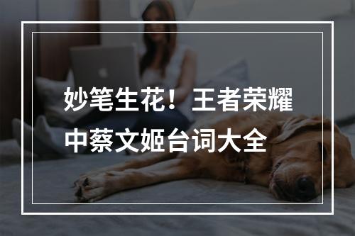 妙笔生花！王者荣耀中蔡文姬台词大全