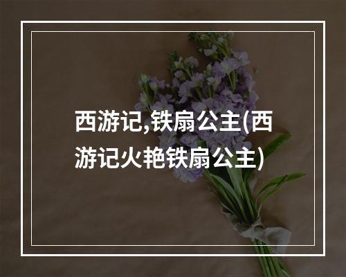 西游记,铁扇公主(西游记火艳铁扇公主)