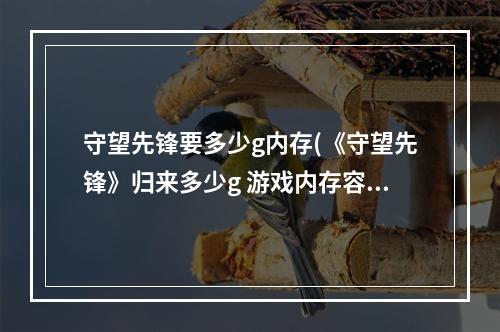 守望先锋要多少g内存(《守望先锋》归来多少g 游戏内存容量大小介绍 守望先锋手 )