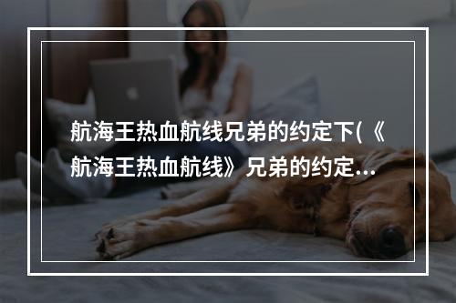 航海王热血航线兄弟的约定下(《航海王热血航线》兄弟的约定攻略 任务流程分享  )