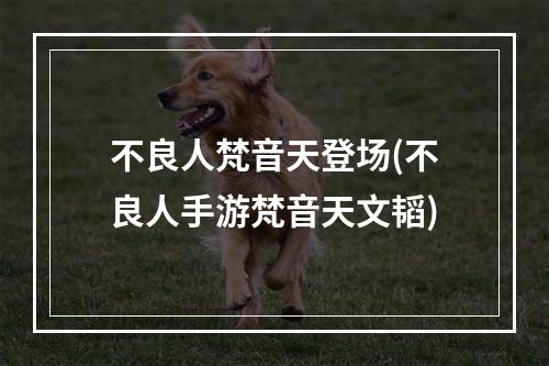 不良人梵音天登场(不良人手游梵音天文韬)