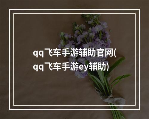 qq飞车手游辅助官网(qq飞车手游ey辅助)