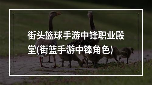 街头篮球手游中锋职业殿堂(街篮手游中锋角色)