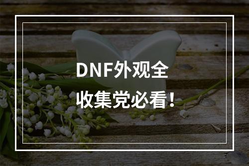 DNF外观全收集党必看！