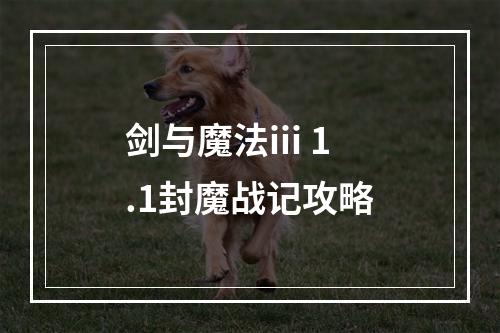 剑与魔法iii 1.1封魔战记攻略