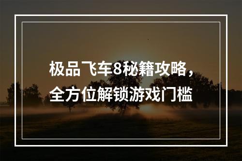 极品飞车8秘籍攻略，全方位解锁游戏门槛