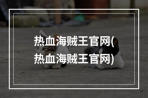 热血海贼王官网(热血海贼王官网)