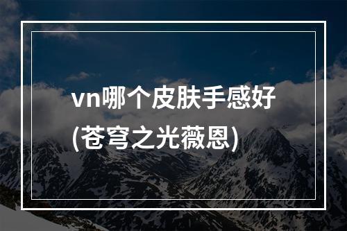 vn哪个皮肤手感好(苍穹之光薇恩)