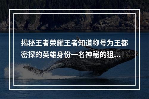 揭秘王者荣耀王者知道称号为王都密探的英雄身份一名神秘的狙击手(狙击手、王者荣耀、王都密探)