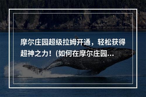 摩尔庄园超级拉姆开通，轻松获得超神之力！(如何在摩尔庄园刷出超级拉姆，让你一步登天！)