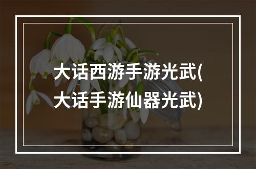 大话西游手游光武(大话手游仙器光武)