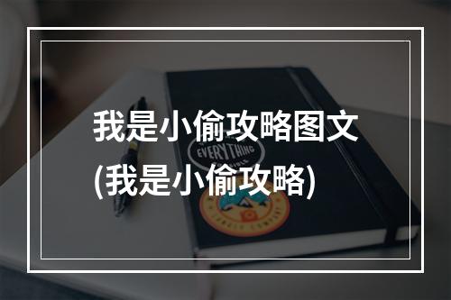 我是小偷攻略图文(我是小偷攻略)