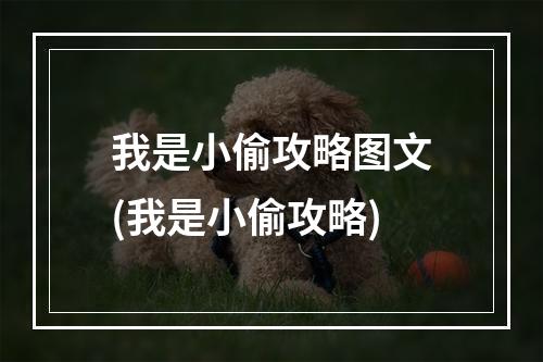 我是小偷攻略图文(我是小偷攻略)