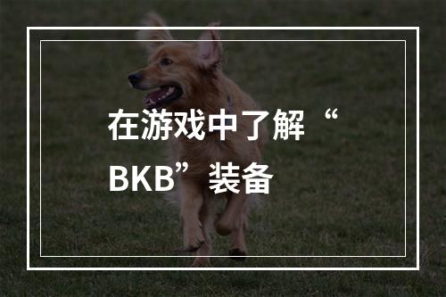 在游戏中了解“BKB”装备