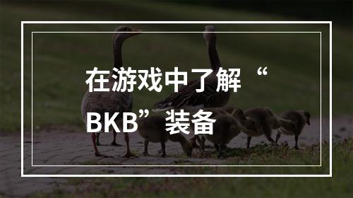 在游戏中了解“BKB”装备