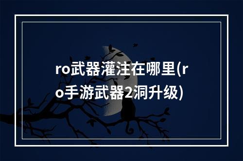 ro武器灌注在哪里(ro手游武器2洞升级)