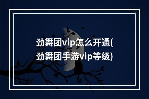 劲舞团vip怎么开通(劲舞团手游vip等级)