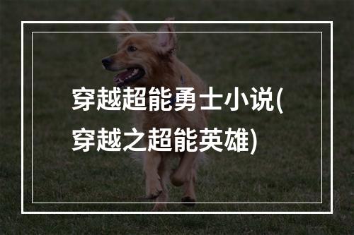 穿越超能勇士小说(穿越之超能英雄)