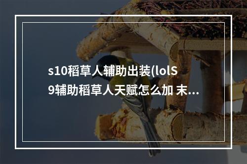 s10稻草人辅助出装(lolS9辅助稻草人天赋怎么加 末日使者符文搭配推荐)