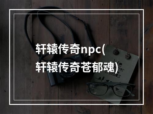 轩辕传奇npc(轩辕传奇苍郁魂)