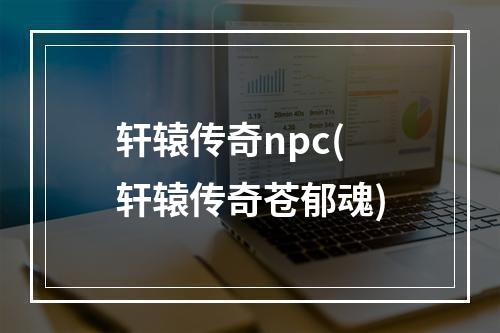 轩辕传奇npc(轩辕传奇苍郁魂)