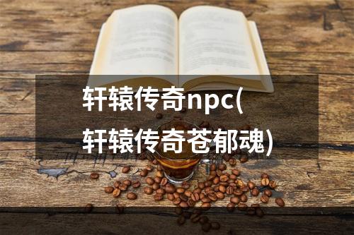 轩辕传奇npc(轩辕传奇苍郁魂)