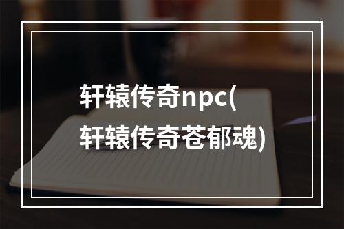 轩辕传奇npc(轩辕传奇苍郁魂)