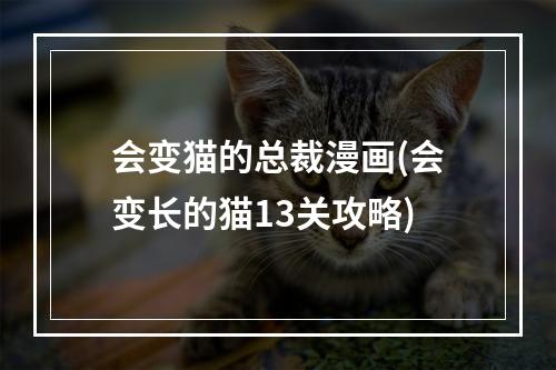 会变猫的总裁漫画(会变长的猫13关攻略)