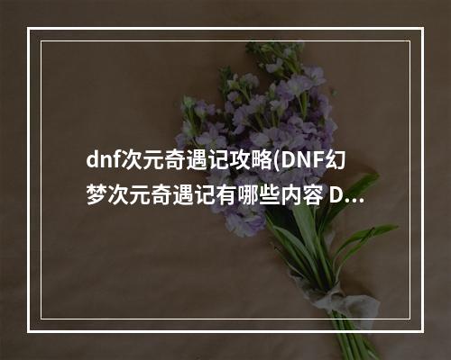 dnf次元奇遇记攻略(DNF幻梦次元奇遇记有哪些内容 DNF幻梦次元奇遇记是)