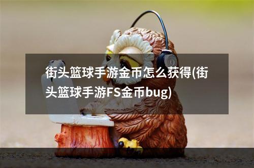 街头篮球手游金币怎么获得(街头篮球手游FS金币bug)