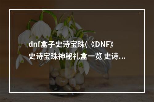 dnf盒子史诗宝珠(《DNF》史诗宝珠神秘礼盒一览 史诗宝珠神秘礼盒是什么)