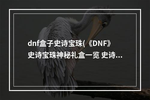 dnf盒子史诗宝珠(《DNF》史诗宝珠神秘礼盒一览 史诗宝珠神秘礼盒是什么)