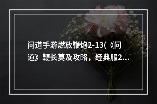 问道手游燃放鞭炮2-13(《问道》鞭长莫及攻略，经典服278技能 经典版宠物技能)