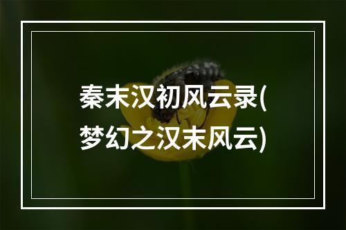 秦末汉初风云录(梦幻之汉末风云)