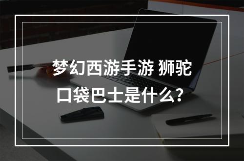 梦幻西游手游 狮驼 口袋巴士是什么？