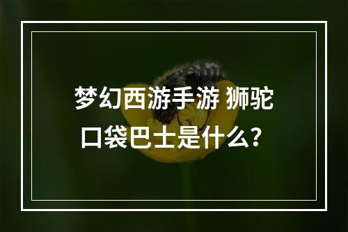 梦幻西游手游 狮驼 口袋巴士是什么？