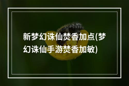 新梦幻诛仙焚香加点(梦幻诛仙手游焚香加敏)