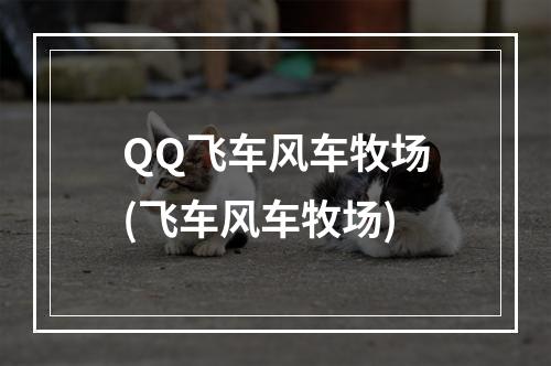 QQ飞车风车牧场(飞车风车牧场)