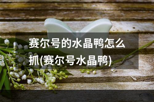 赛尔号的水晶鸭怎么抓(赛尔号水晶鸭)