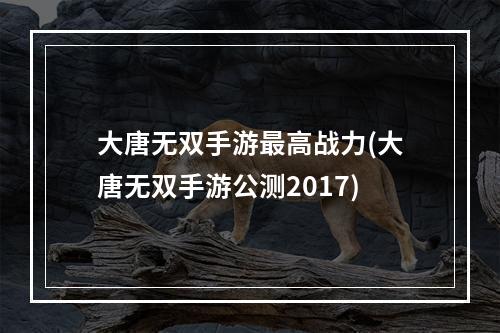 大唐无双手游最高战力(大唐无双手游公测2017)