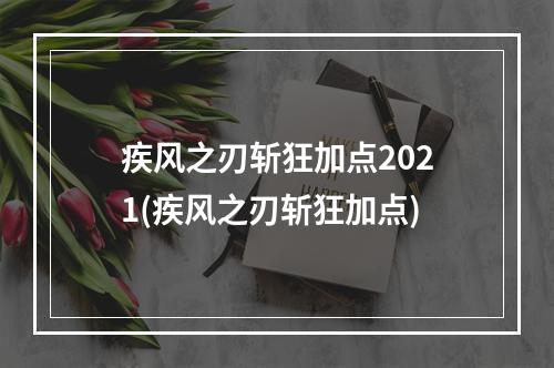 疾风之刃斩狂加点2021(疾风之刃斩狂加点)