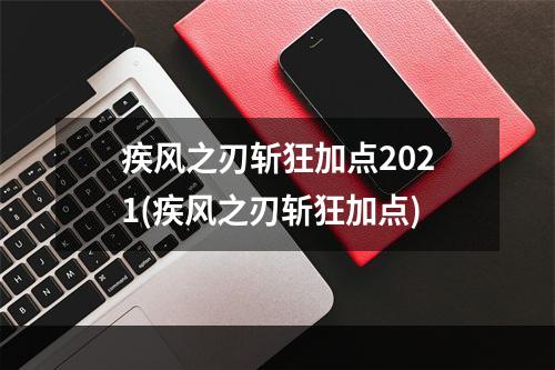 疾风之刃斩狂加点2021(疾风之刃斩狂加点)