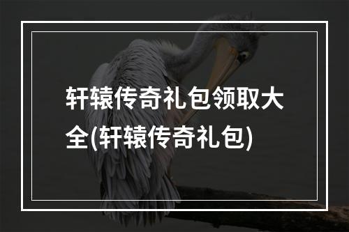 轩辕传奇礼包领取大全(轩辕传奇礼包)