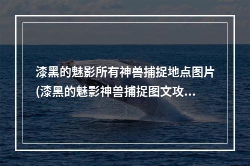 漆黑的魅影所有神兽捕捉地点图片(漆黑的魅影神兽捕捉图文攻略)