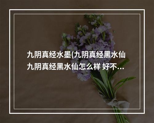 九阴真经水墨(九阴真经黑水仙 九阴真经黑水仙怎么样 好不好)